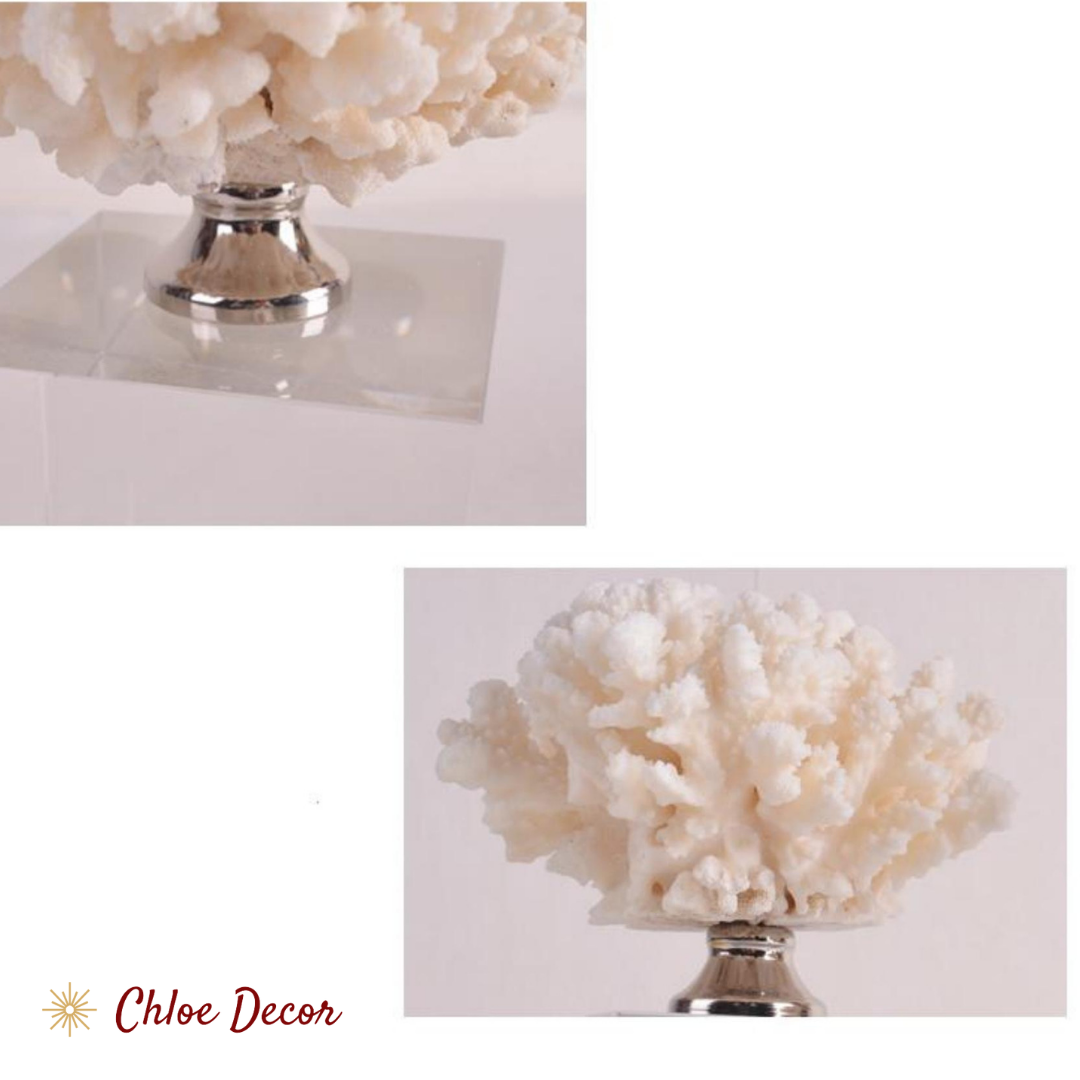 Large Coral Decoration With Crystal Block